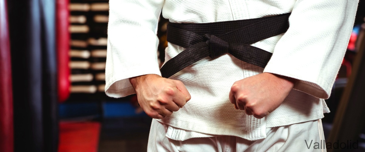 Las mejores clases de judo para adultos en Valladolid
