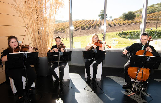 Músicos en Valladolid - Cuarteto Intermezzo