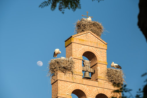 Castilla Termal Olmedo