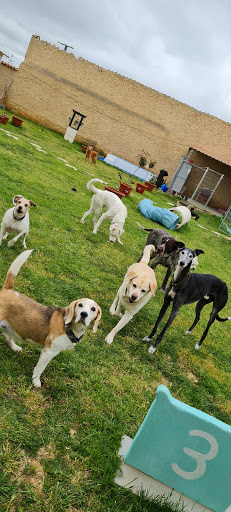 Centro Canino PetDogSulu (Hotel Canino-Peluquería Canina)