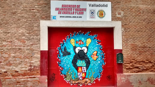 GSR Valladolid