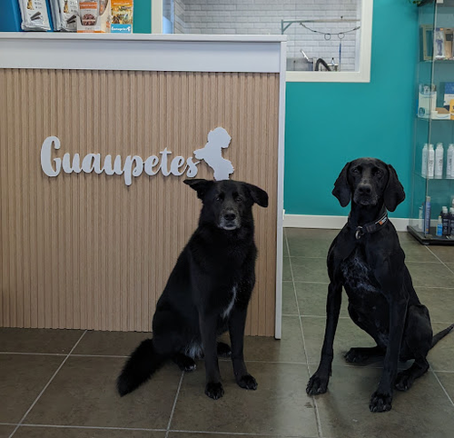 Guaupetes! Peluquería Canina